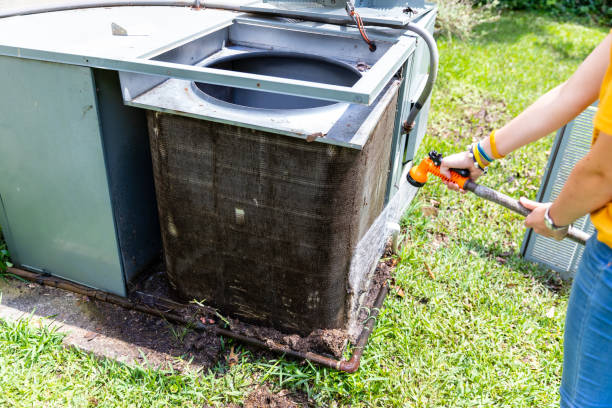 Best HVAC System Cleaning  in International Falls, MN